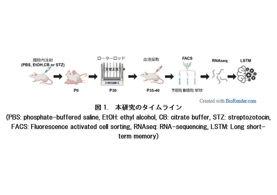 【東京医科大学】母親の飲酒や糖尿病に胎内暴露された児の運動学習障害を末梢血を用いて予測する新たな手法を発見～機械学習を用いた末梢血単核球の選択的スプライシングによる運動学習障害の予測～