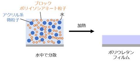 水系ポリウレタンフィルム形成の仕組みを解明 環境にやさしい塗料や接着剤への応用に期待 -- 大阪工業大学