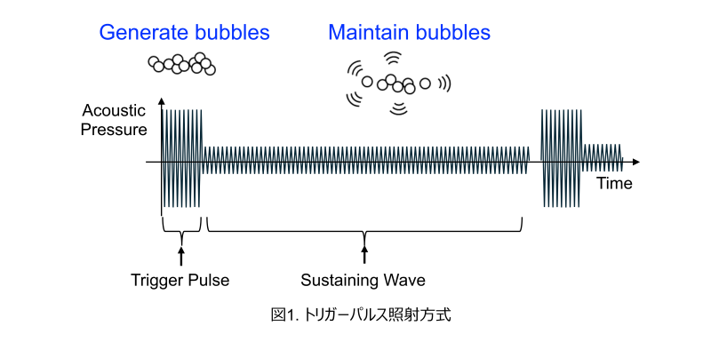【東京薬科大学】泡を作り出す超音波で体を傷つけずにがんの免疫治療を実現〜新しい超音波技術で遠隔部位の腫瘍まで縮小に成功〜