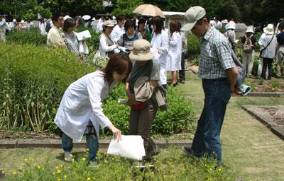 薬剤師の卵たちが約６０００平方メートルの薬草園を案内――東邦大学「２０１２年度　薬草園一般公開」