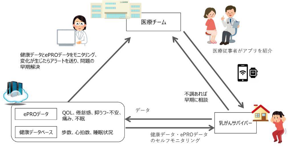 法政大学とBTCが「アプリを活用した在宅の高強度インターバルトレーニングが乳がんサバイバーの倦怠感に与える影響」に関する共同研究を開始