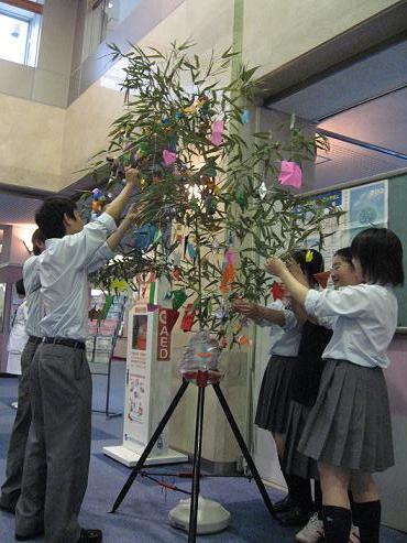 七夕に願いを込めて――東邦大学医療センター佐倉病院が佐倉西高等学校の生徒らと共同で恒例の「七夕飾り」を開催