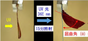 東京工芸大学工学部の比江島俊浩教授が「液晶ゲル、液晶ゲルの製造方法、液晶ゲルの設計方法」にかかる特許を取得 -- 光を使用して「液晶ゲル」を自在に曲げる技術