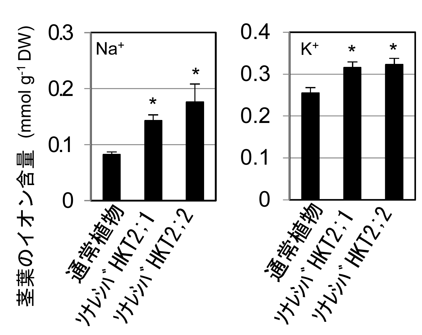 植物の耐塩性メカニズムに重要な役割を果たすタンパク質を発見。低カリウム条件での農業などに応用の期待。東京工科大学応用生物学部