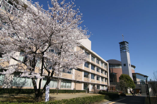 桜の新名所・聖学院大学は今週末頃が見頃