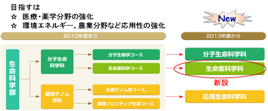 東京薬科大学生命科学部に2013年4月、生命医科学科が新たに誕生――急速に発展する医学・先進医療を担う人材を育成