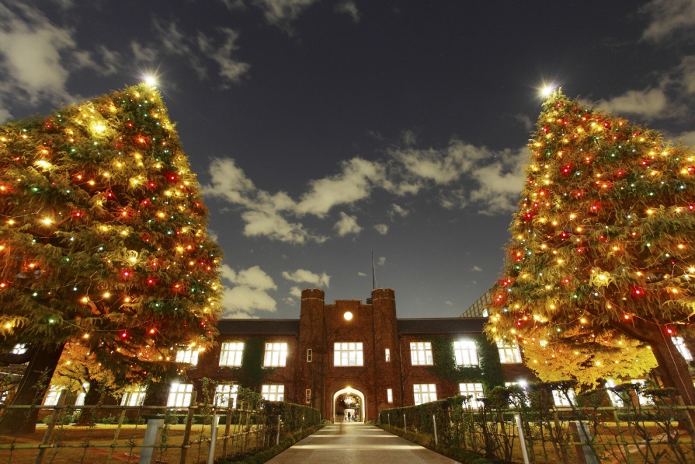 立教大学池袋キャンパスで12月4日（火）に、クリスマスツリー・イルミネーション点灯式を開催――樹高約２５メートルの２本のヒマラヤ杉に光がともる