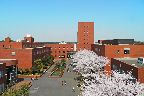 赤レンガの校舎を桜が華やかに彩る――東洋学園大学流山キャンパス