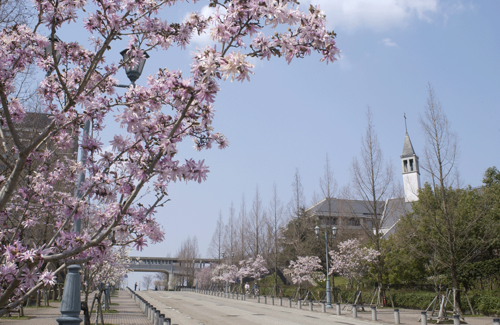 「バイブル・ガーデン（聖書の花園）」など、季節ごとのさまざまな花木が楽しめるキャンパス――桃山学院大学