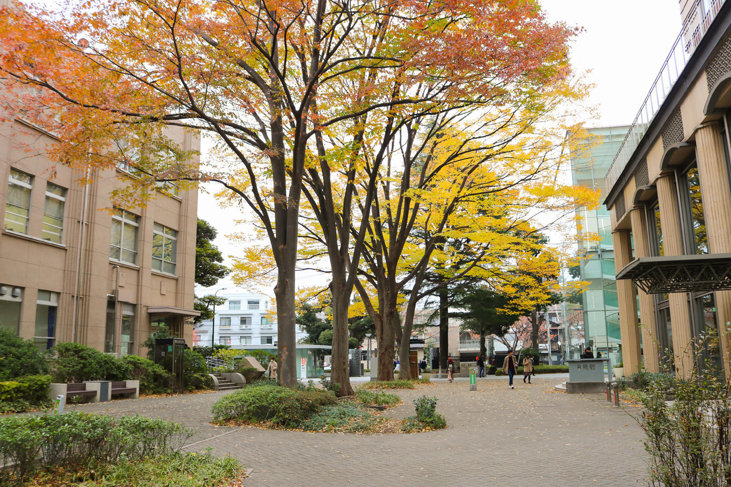 【武蔵大学】第56回土曜講座を開催（武蔵大学・大学同窓会 共催）