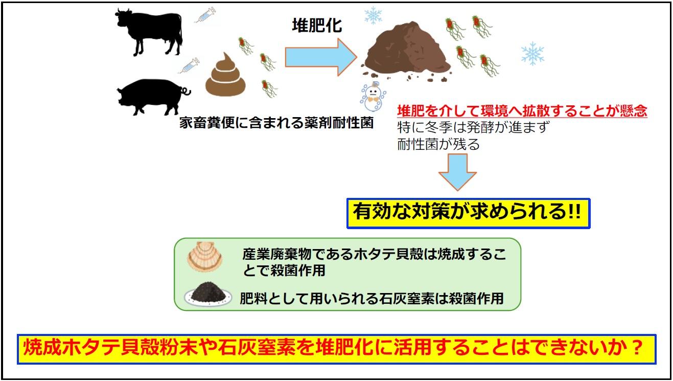 ［プレスリリース］酪農学園大学の臼井教授らが、産業廃棄物であるホタテの貝殻を活用することで農場の堆肥中の薬剤耐性菌対策を実現！