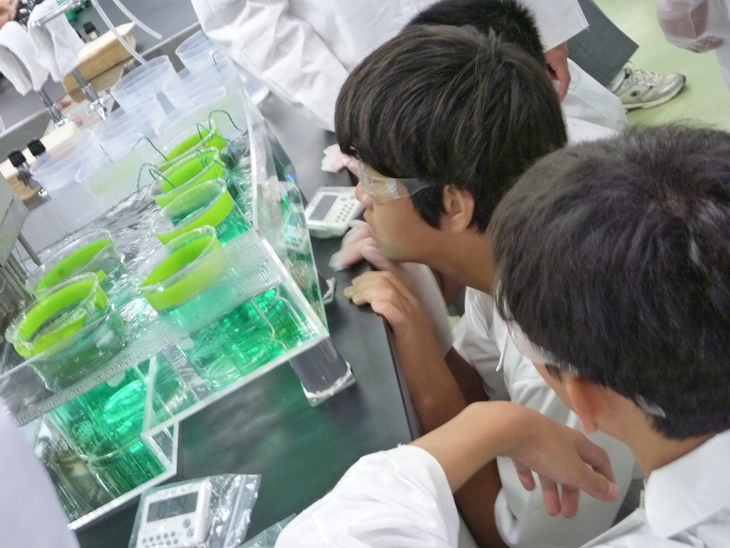 関東学院大学が7月20日に中高生を対象にした「1日体験化学教室」を開催