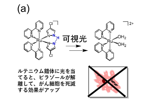 光を当てて がん細胞を狙い撃ち 低濃度で作用する抗がん剤ルテニウム錯体--大阪工業大学 