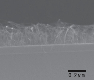 日本工業大学・石川教授が、単層カーボンナノチューブの低温垂直配向成長に成功