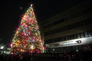 聖学院大学が11月27日にクリスマスツリー点火祭を開催――聖学院教会によるバザーや被災地物品販売も予定