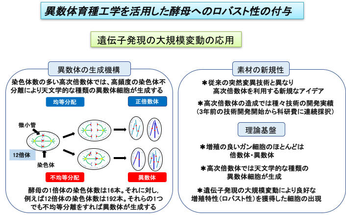 崇城大学生物生命学部の原島俊教授と浴野圭輔准教授の研究がNEDOプロジェクトに採択 -- 新視点のゲノム操作により、これまでにない酵母菌を創る