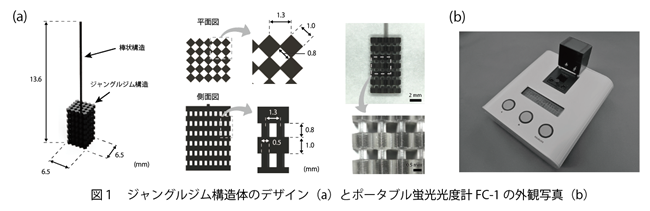 【東京薬科大学薬学部】いつでもどこでもだれでも高感度バイオマーカー計測 -- 1cm角キュベットを利用する''その場''イムノアッセイ法 --