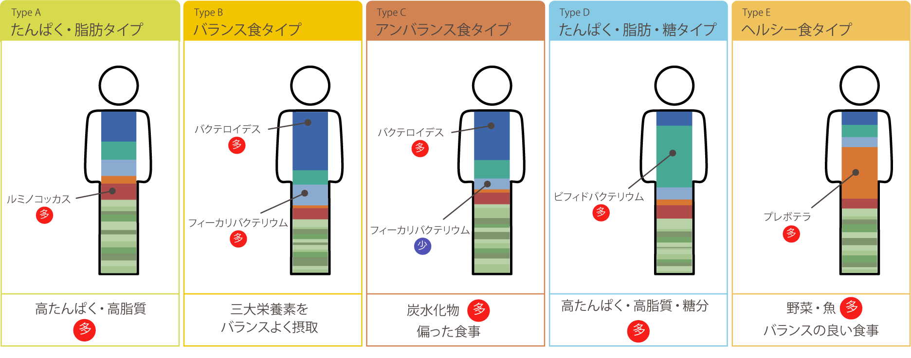 京都府立医科大学、摂南大学、株式会社プリメディカ、腸内環境評価システムに関連する「腸内細菌叢のタイプ分類方法」の特許取得 -- 摂南大学