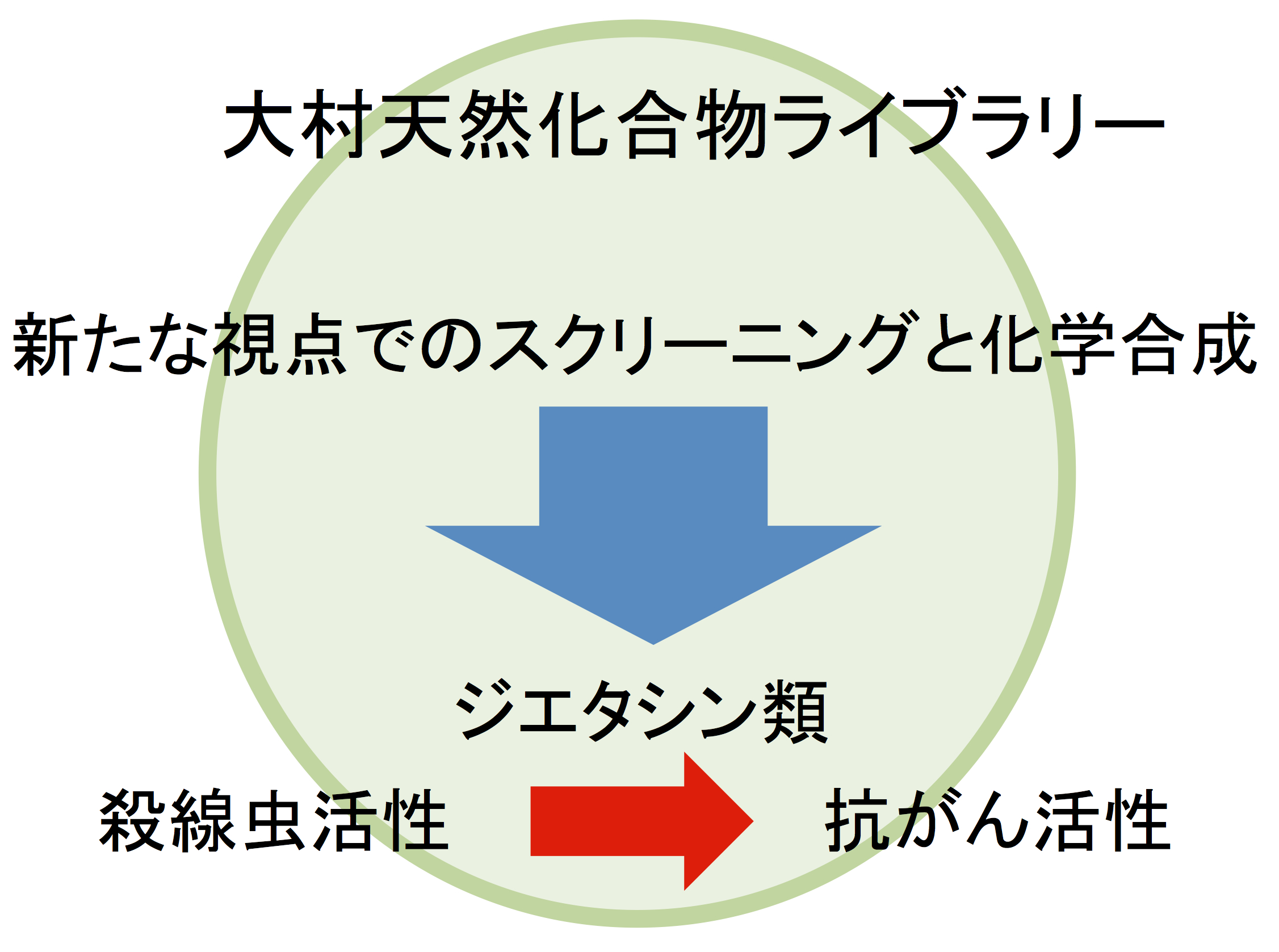 殺線虫活性を有する大村天然化合物ライブラリー由来ジエタシンAをリード化合物とする新規NF-κB阻害薬の開発と抗がん剤としての応用の可能性 -- 北里大学