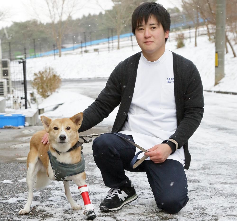広島国際大学に通い、義肢装具士を目指す学生が犬用義足開発　前脚を失った犬への装着・試歩行を2/14に保護施設で実施
