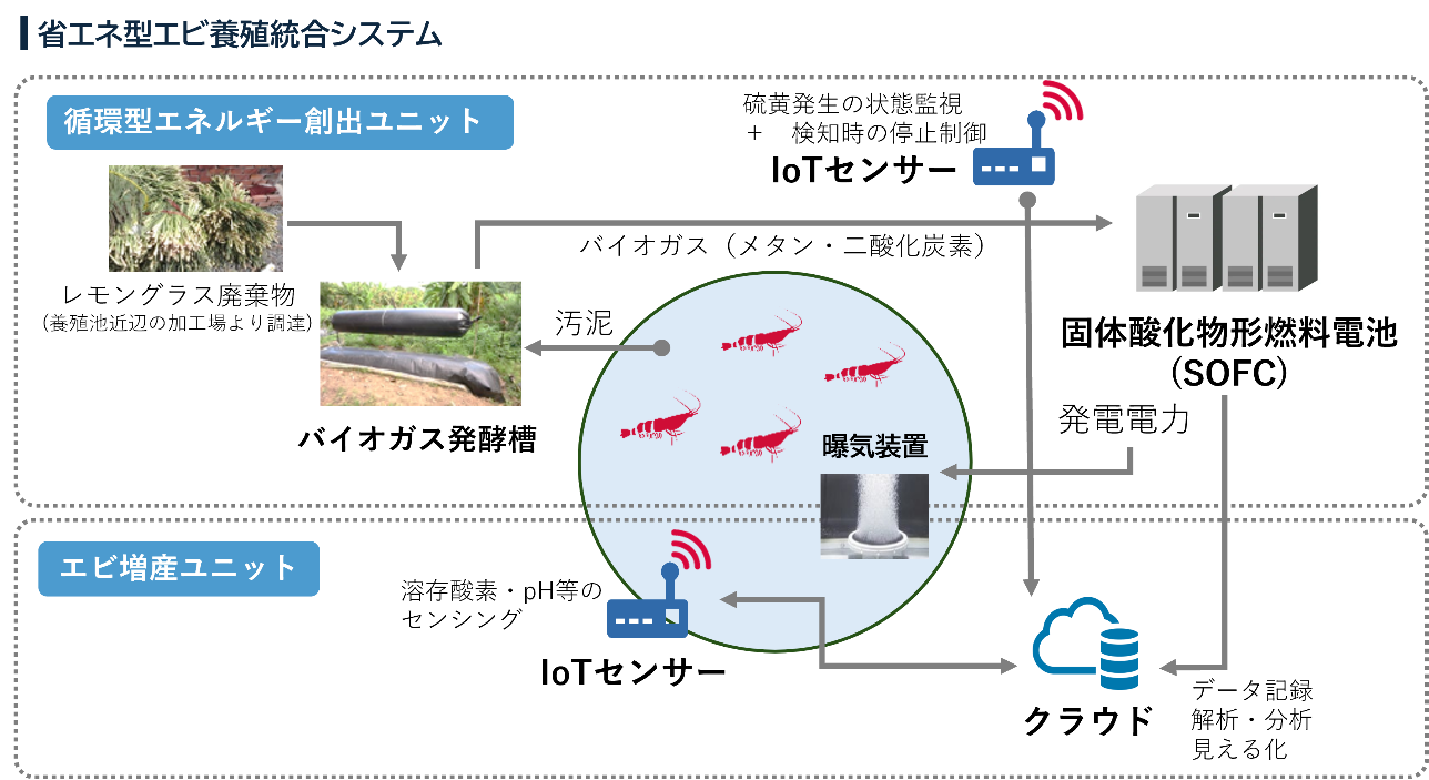日本初　グリーンエネルギーとIoTを活用したエビ養殖に挑戦　-- NEDO「脱炭素化・エネルギー転換に資する我が国技術の国際実証事業」の実証運転を7月より開始 --