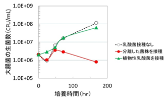 東京工科大学応用生物学部の西野智彦准教授らの研究チームが乳酸菌を用いて、「浅漬け」による食中毒を防ぐ手法を発見