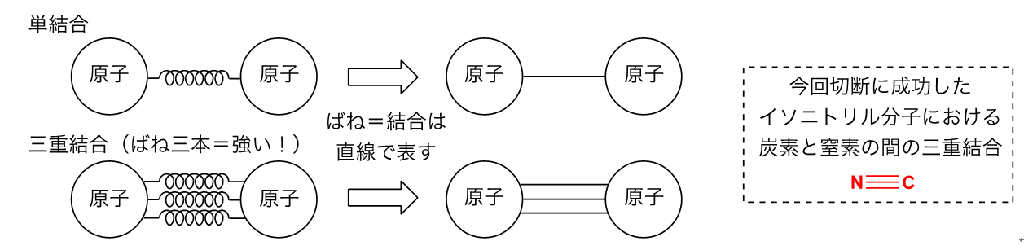 中央大学理工学研究科博士前期課程2年の浅川博祈さんらが、ホウ素・ホウ素単結合を持つ化合物が炭素・窒素三重結合を切断することを発見