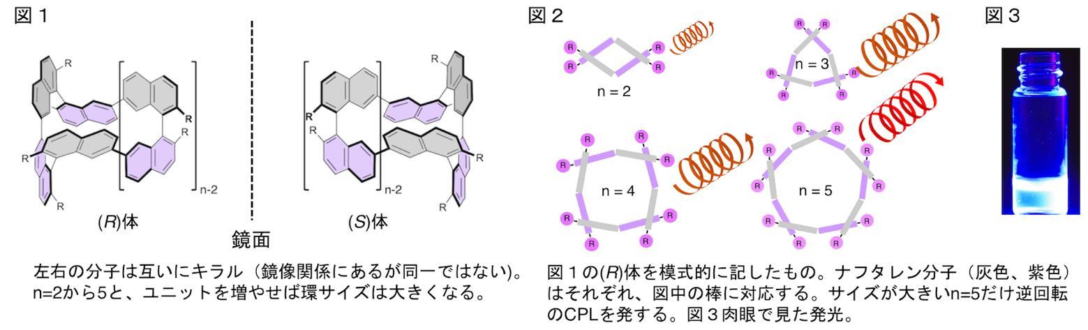 分子の大きさで円偏光発光の回転方向を制御できる環状キラル色素を開発 -- 北里大学