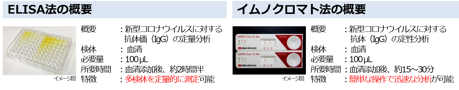 新型コロナウイルス感染症（COVID-19）の患者血清中に含まれる抗ウイルス抗体の検出に成功