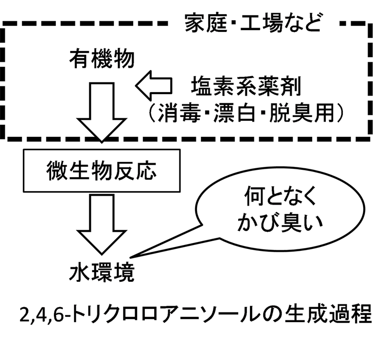 都市の水辺の「カビ臭」原因物質を初めて特定　～東京・多摩地域の現地調査から明らかに――東京工科大学