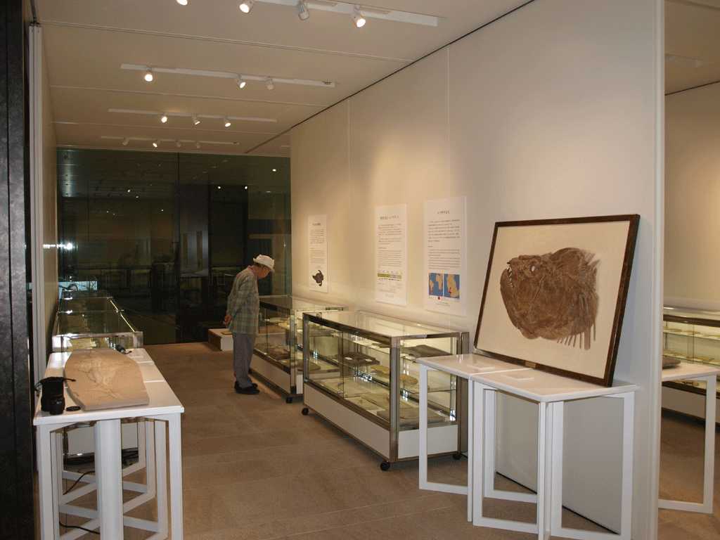 城西大学水田美術館アートギャラリーが10月31日まで化石特別展示を開催――「大石コレクション」を展示