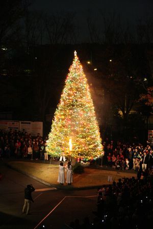 聖学院大学が11月26日にクリスマスツリー点火祭を開催――当日はバザーやコンサートも開催