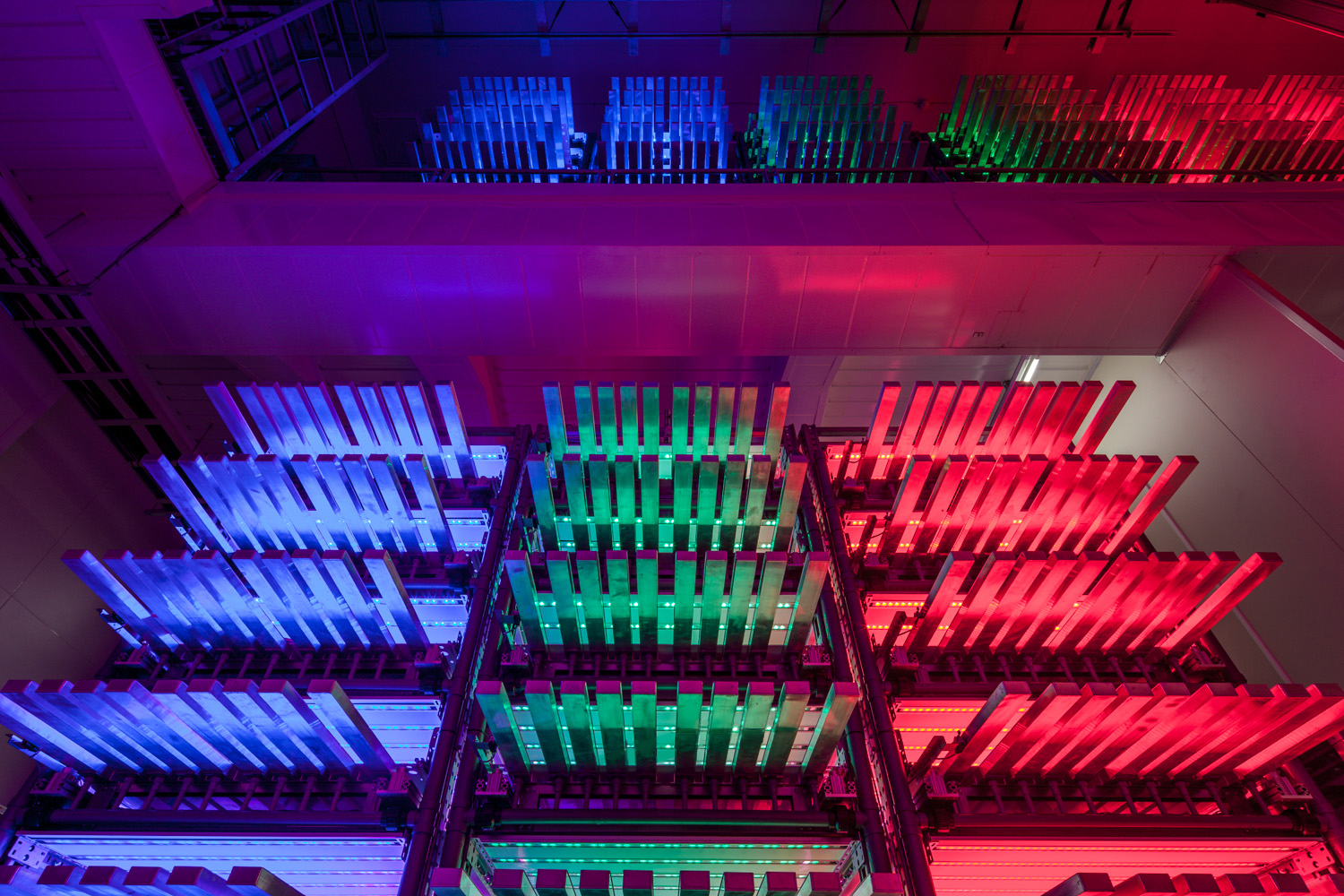 Sci Tech Farm TN produce（LEDを使用した完全人工光型植物工場　玉川大学サイテックファーム）<br />2年間の実証をもとに、日産3200株の栽培システムが始動