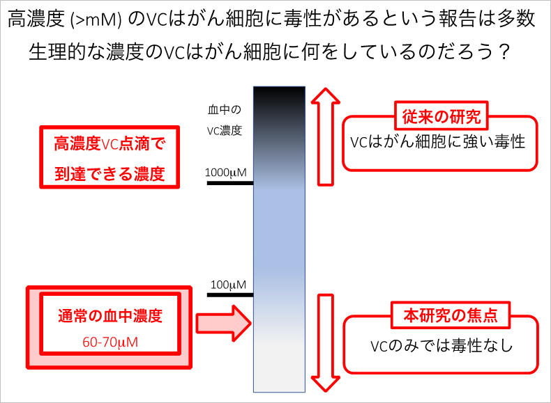 ビタミンCと過酸化水素ががん細胞を除去 低濃度ビタミンCの新たな機能を発見 -- 東京工科大学応用生物学部