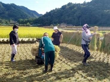 【相模女子大学・相模女子大学短期大学部】「Sagamiチャレンジプログラム」にて学生が長野県・新潟県・三重県で社会貢献活動を行います