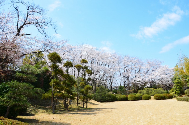 駒澤大学が深沢キャンパスの庭園を4月8日まで一般開放――落ち着いた雰囲気の中で桜を鑑賞
