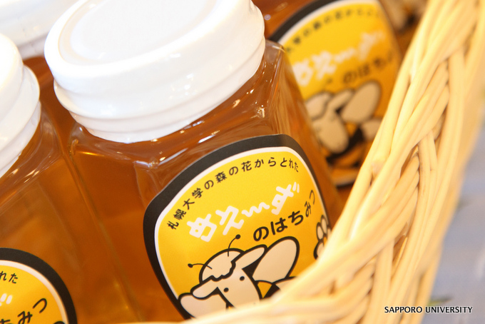 札幌大学が7月17日に「親子でつくる『蜜ろうキャンドル』＆『札大の森』のミツバチのお話」を開催 -- 「カルチャーナイト2015」参加行事