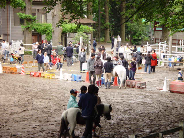 学習院馬術部、豊島区の心身障害児童対象に「馬とふれあう会」を開催