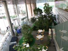 帝京大学八王子キャンパスのメディアラウンジ内に「夏季環境ディスプレイ」