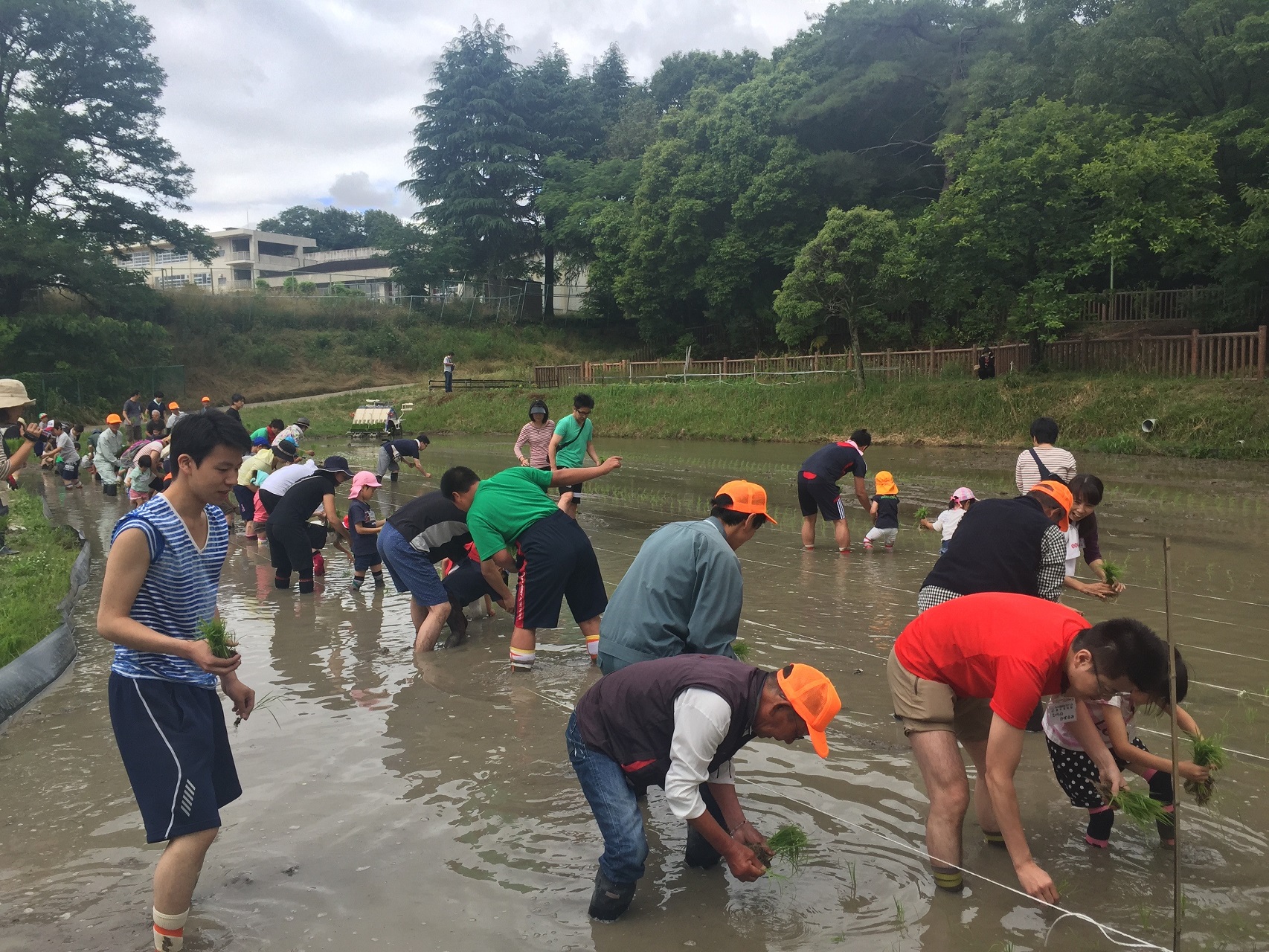 大阪学院大学の学生が農作業体験農園「ふれ愛農園」でボランティアを実施