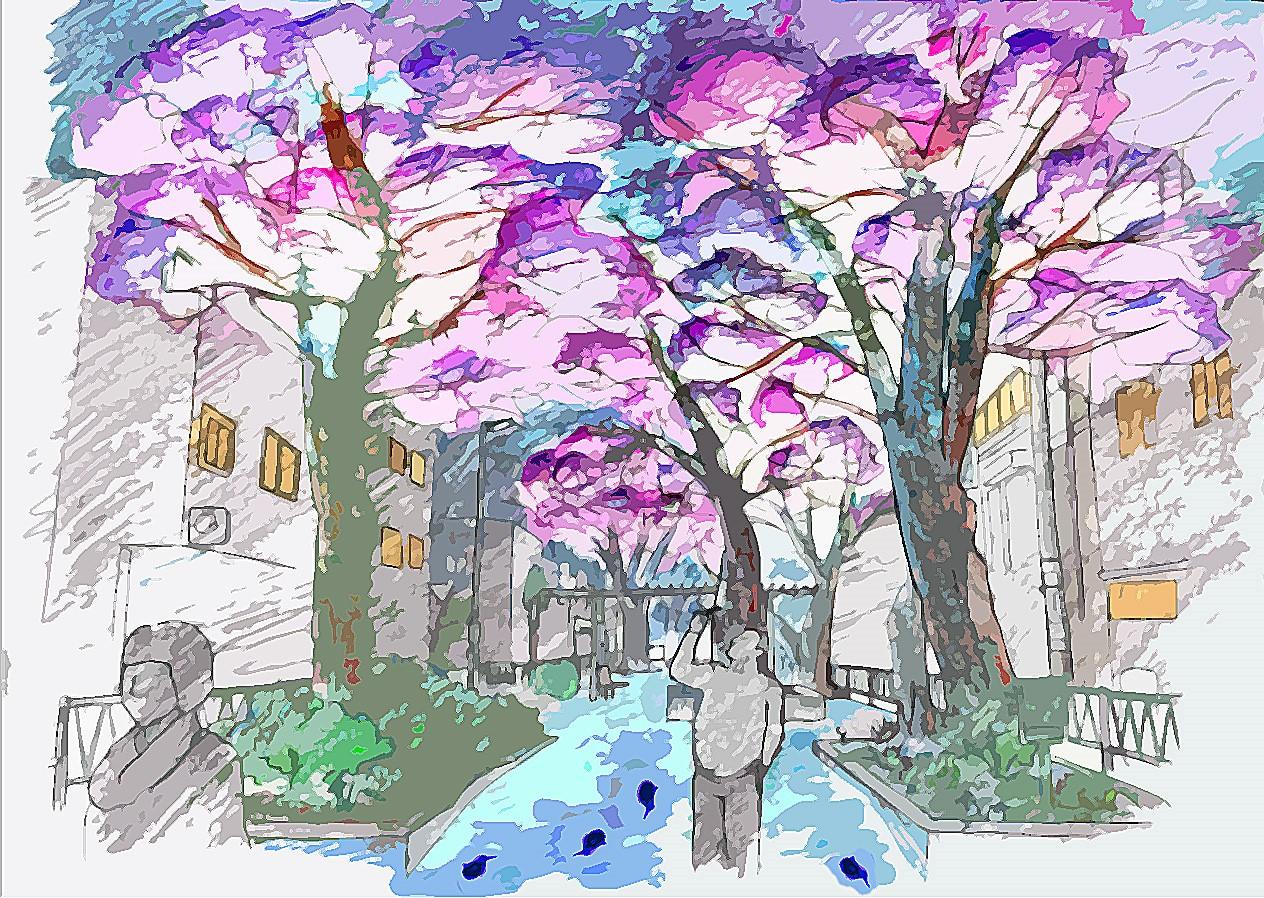 東京都市大学が3月24日～4月8日まで「都立大学駅前・桜並木ライトアップ～桜と川と街の物語～」を企画・制作 -- ぼんぼり光環境計画株式会社・Hortaと連携