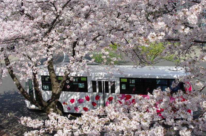 【跡見学園女子大学】３月29日（土）にオープンキャンパスを開催！～2026年度に開設予定の情報科学芸術学部（設置認可申請中）を紹介します