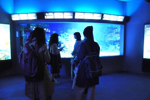 フェリス女学院大学音楽学部の学生が新江ノ島水族館「ナイトワンダーアクアリウム2017～満天の星降る水族館～Part3」のBGM選曲に協力 -- アウトリーチ活動の一環として