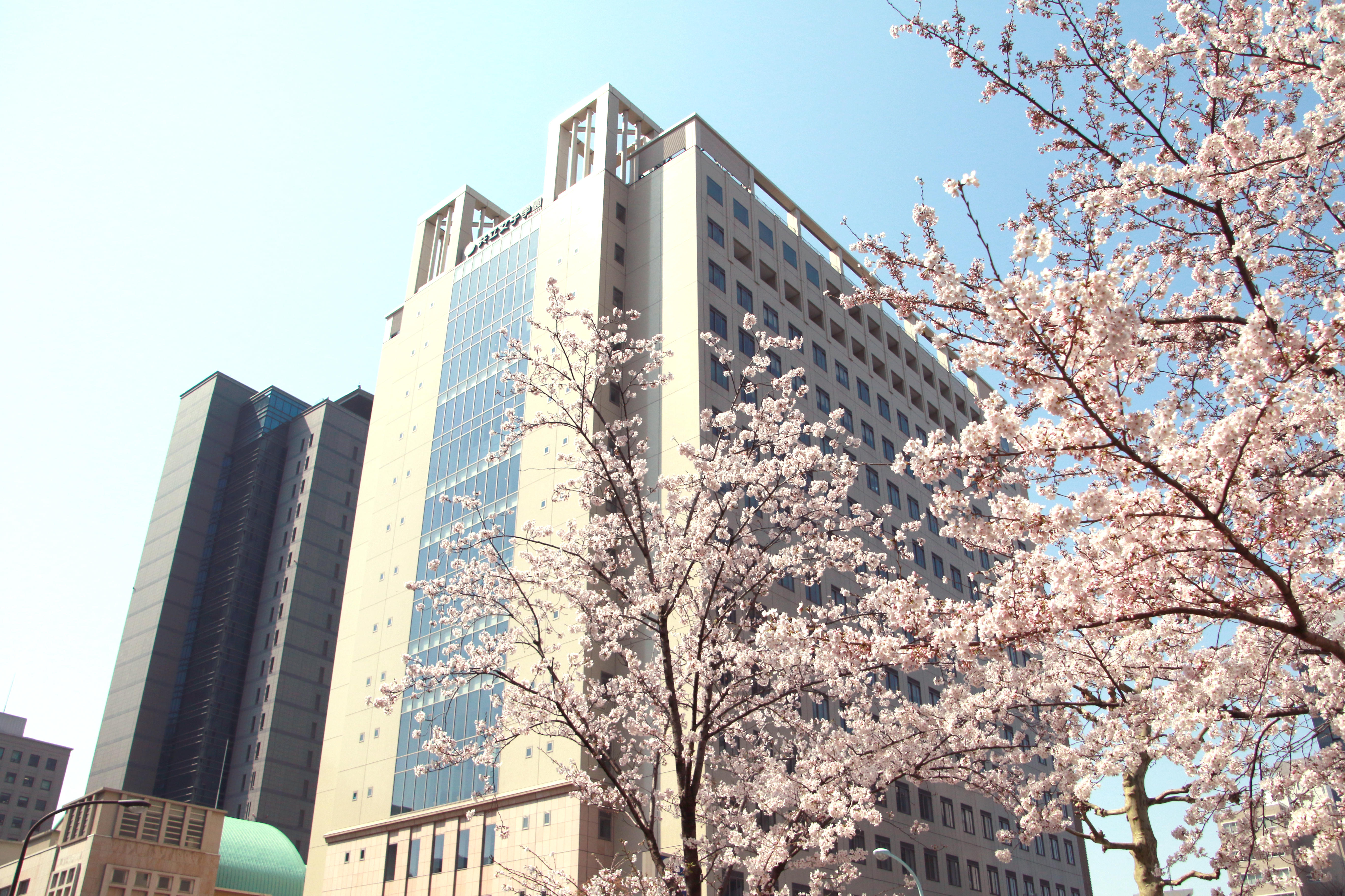 【共立女子大学】女子大学で女性社長数全国2位を獲得‼