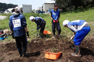 神奈川大学の東日本大震災被災地支援活動「KU東北ボランティア駅伝」は、震災から5年となる現在も、支援の襷をつなぎ続けている