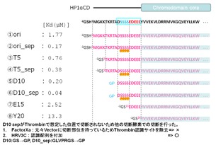 横浜市立大学が、遺伝子発現を抑えるヘテロクロマチン構造の形成機構を解明～がんの発生やiPS細胞産生の原理解明に向けて