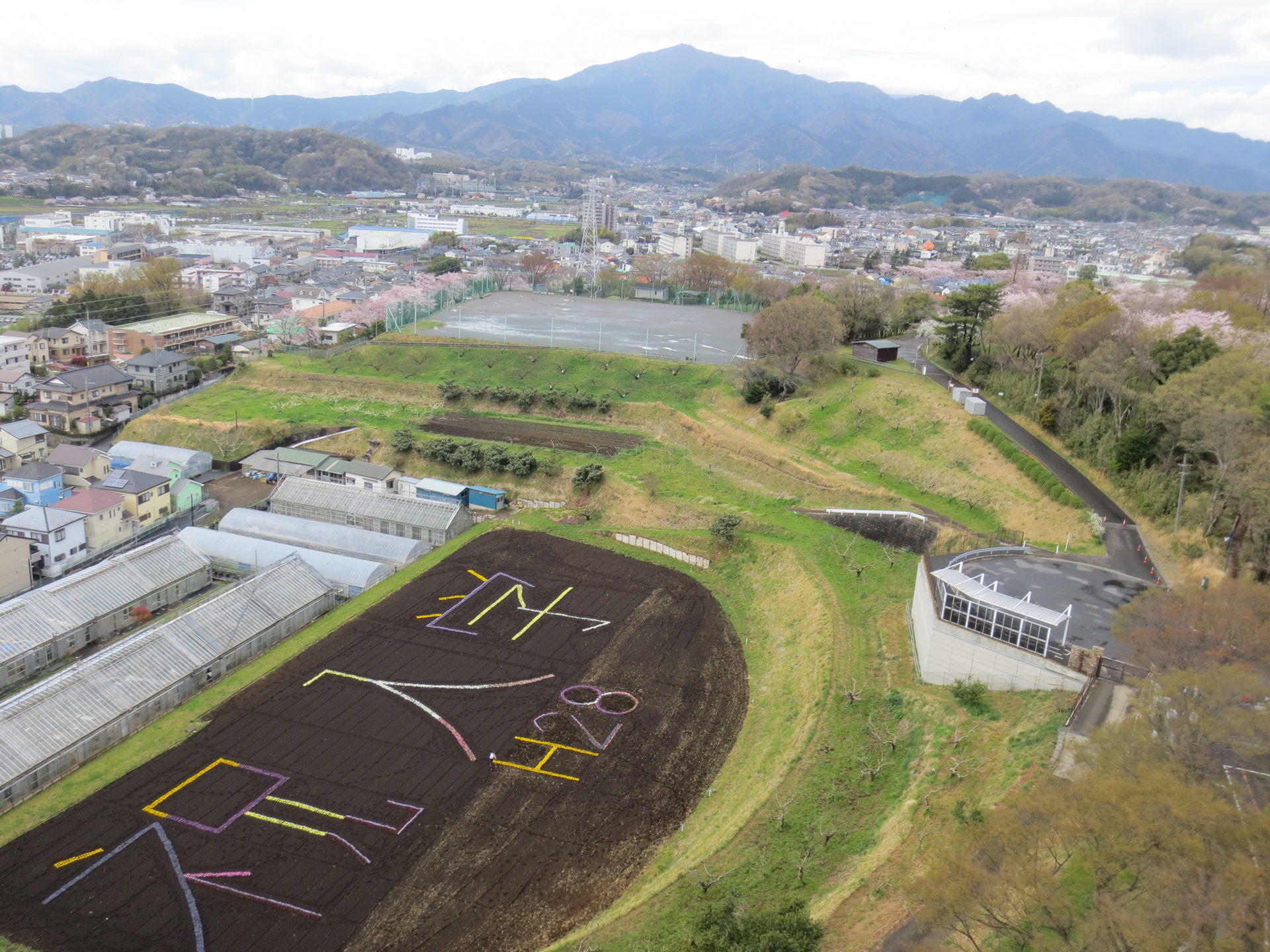 「6000株の花アート」が新入生をお迎え -- 東京農業大学厚木キャンパス