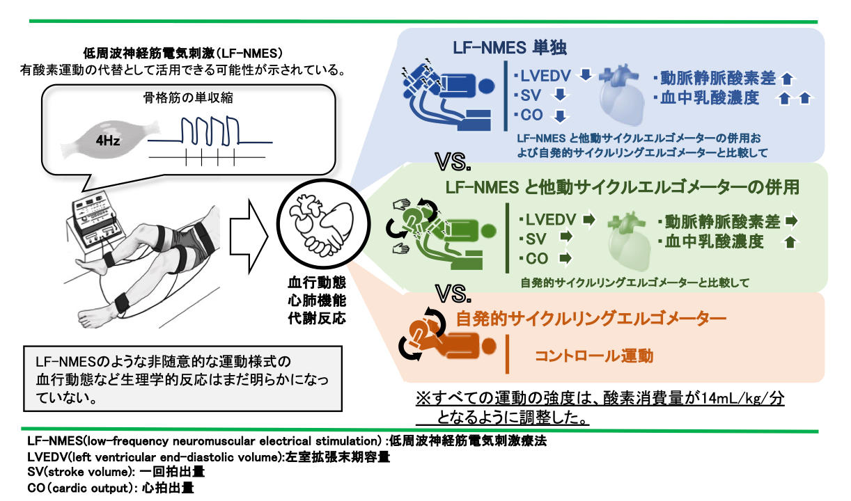 低周波神経筋電気刺激療法と他動サイクルエルゴメーターの組み合わせによる血行動態への影響を実証-- リハビリテーションへの新たな応用可能性 --