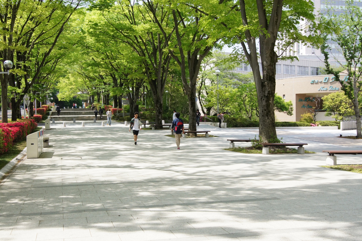 創価大学・創価女子短期大学のキャンパスが多くのドラマや映画等のロケ地に使用 -- 昨年のTBSドラマ「下町ロケット」にも