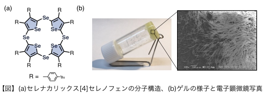 非水素結合性ゲルの開発とゲル生成機構の解明に成功 ～ 導電性ゲル、再生医療材料への応用に期待 ～ 北里大学